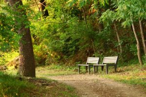 zakup lawek parkowych